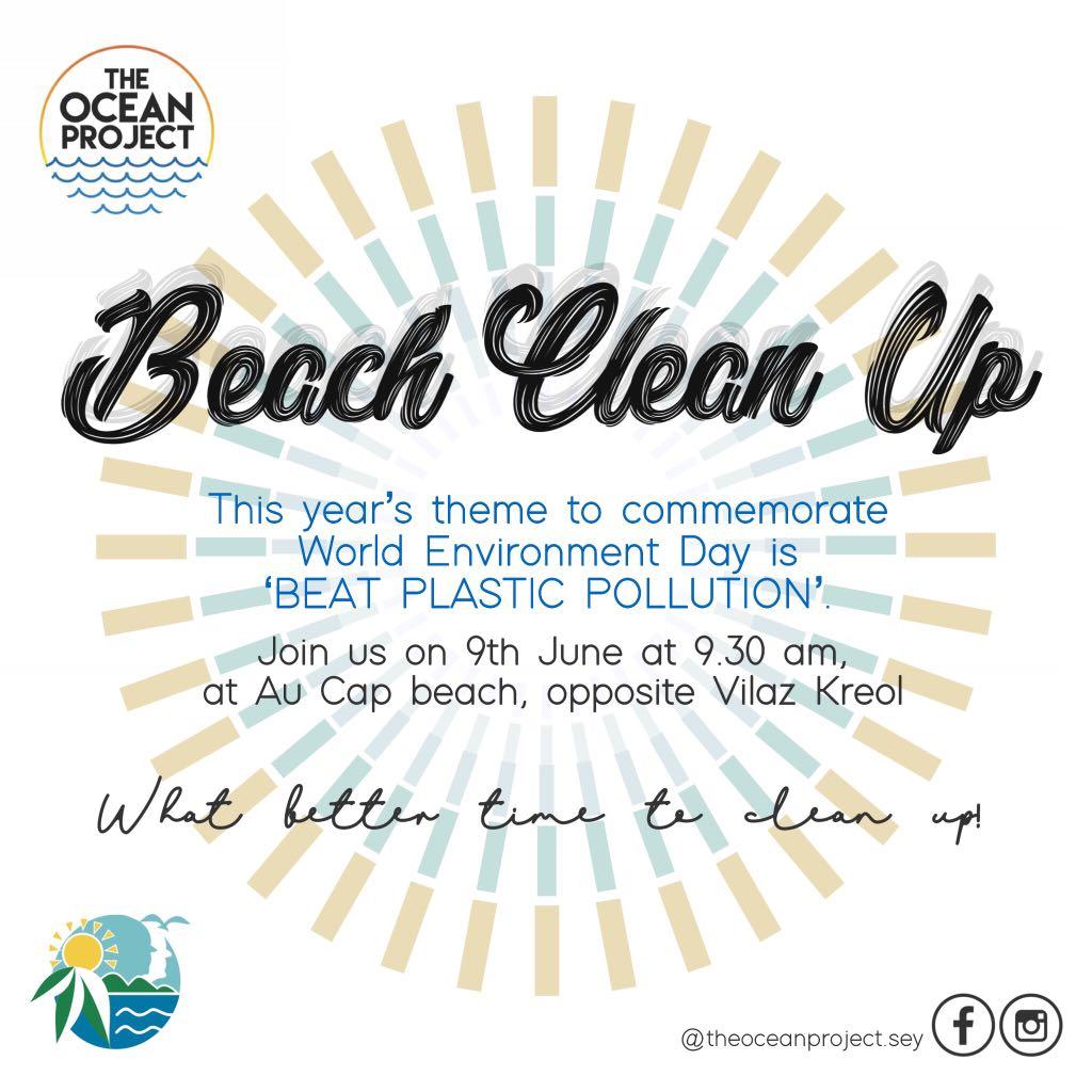 Au Cap Clean Up poster