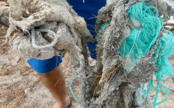 fishing nets 